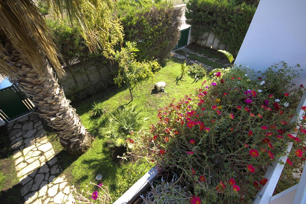 סן קטאלדו B&B Villa Genny A Pochi Passi Dal Mare חדר תמונה
