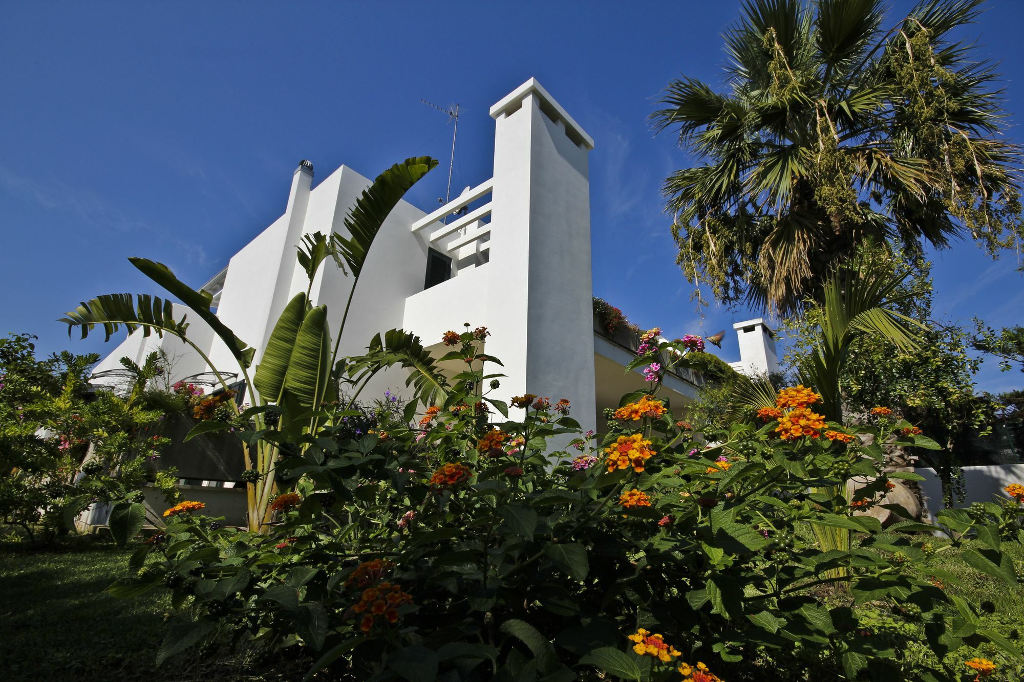 סן קטאלדו B&B Villa Genny A Pochi Passi Dal Mare מראה חיצוני תמונה